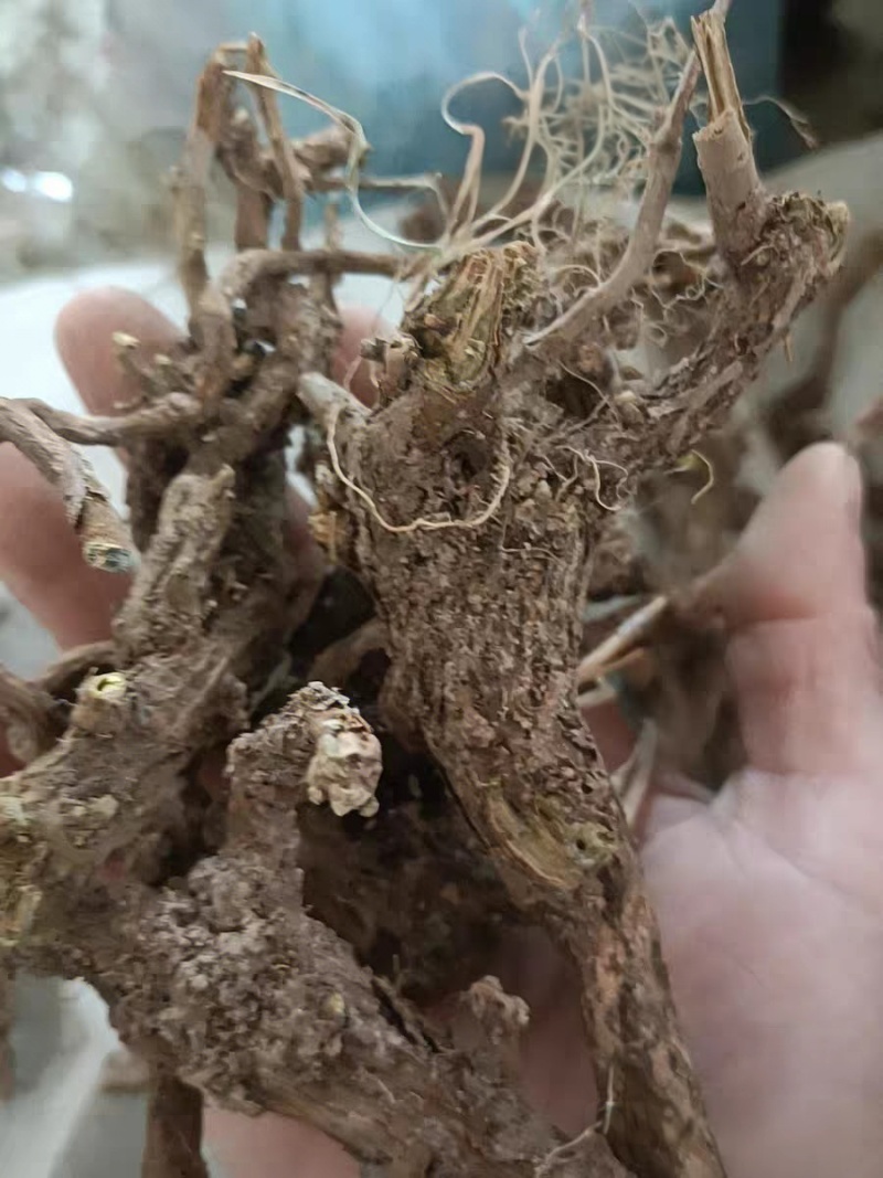 黄芩，不含任何添加剂，假一赔十