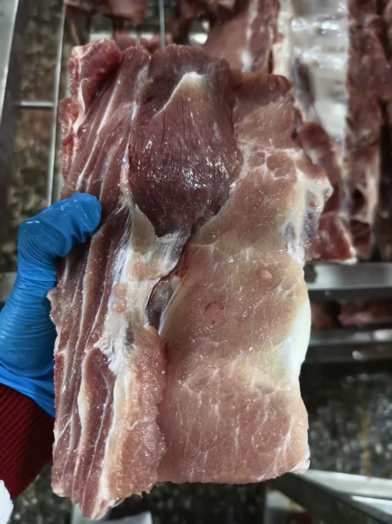 母猪龙骨头