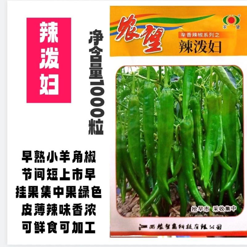 辣椒种子农望辣泼妇辣椒种子羊角椒种子辣味浓泼妇辣椒种籽