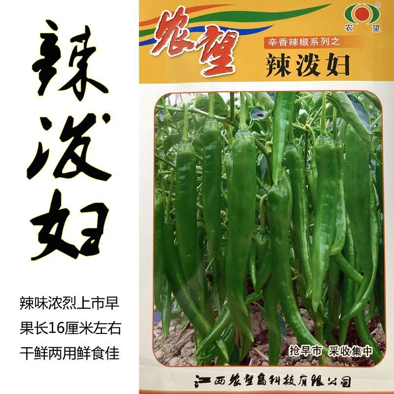 辣椒种子农望辣泼妇辣椒种子羊角椒种子辣味浓泼妇辣椒种籽