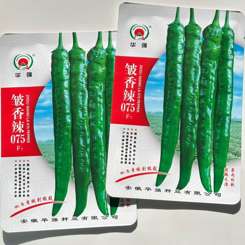中国巨无霸辣椒种子大果种籽抗病青早熟红椒甜椒两用泡椒种子