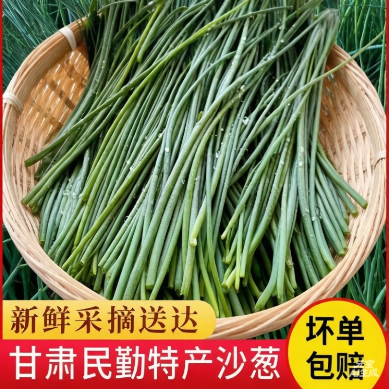 民勤沙葱自产自销品质保证