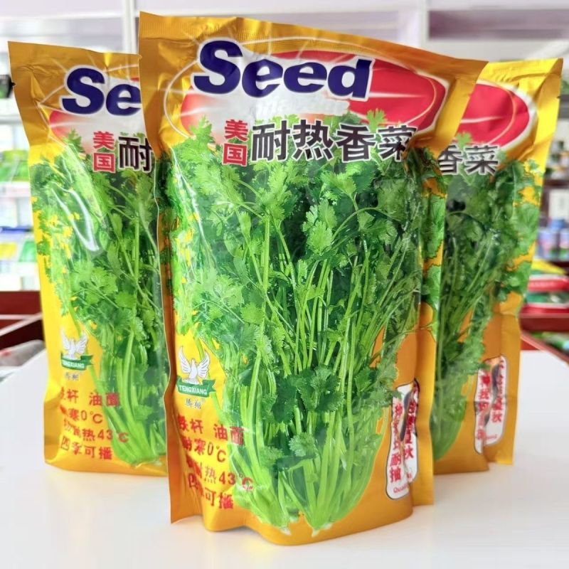 香菜种子美国耐热香菜种籽速生大叶抗热高产耐寒香菜种子