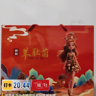 鲜品羊肚菌礼盒