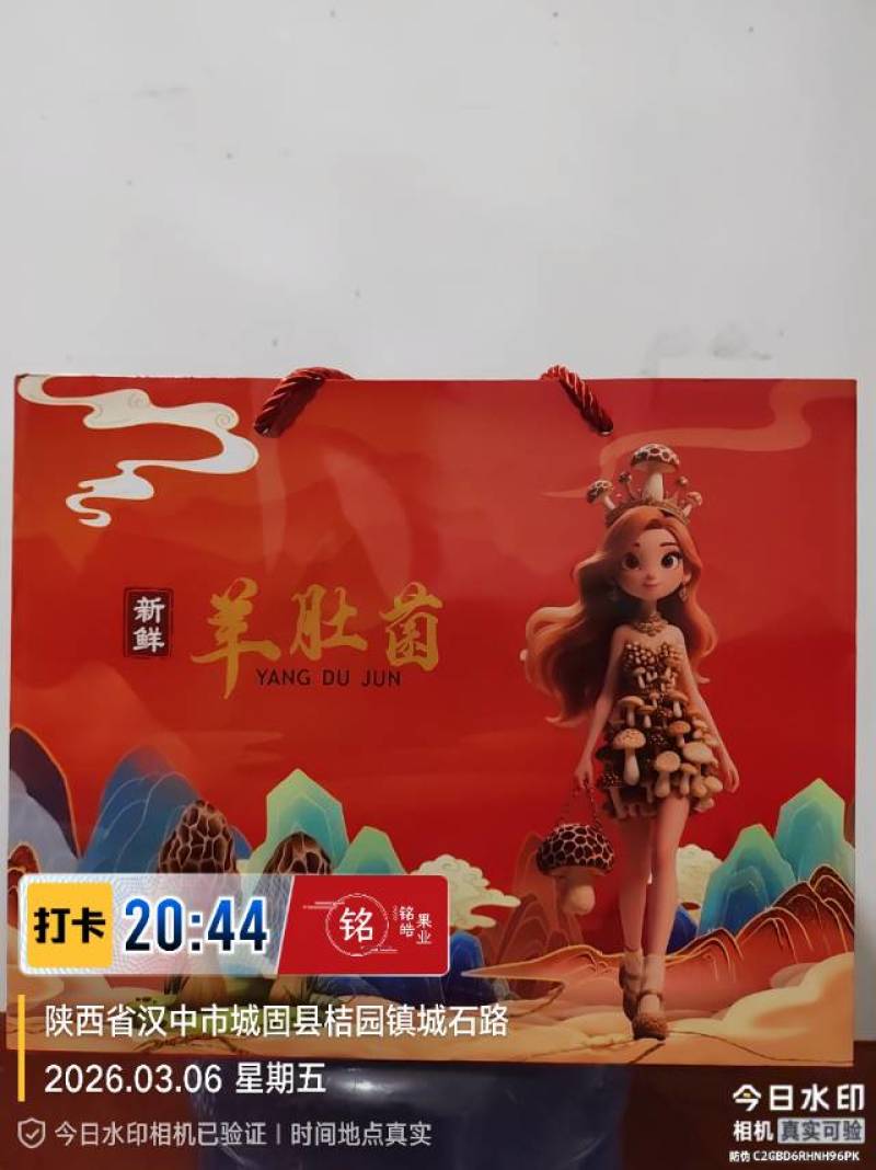 鲜品羊肚菌礼盒