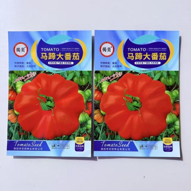 马蹄番茄种子潮汕老品种西红柿种子酸甜可口无限生长非转基种