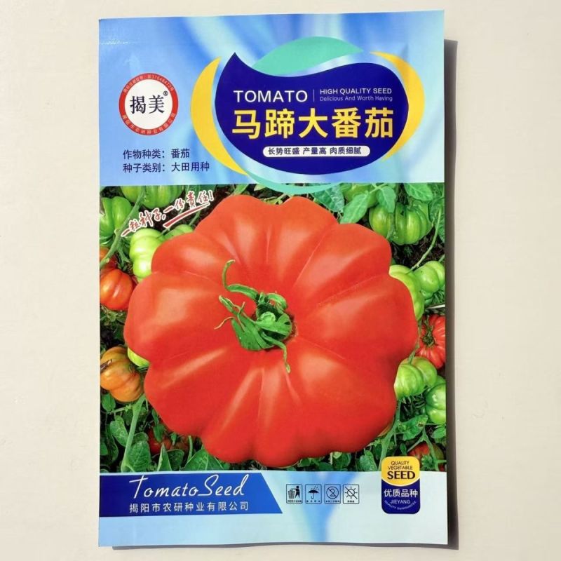 马蹄番茄种子潮汕老品种西红柿种子酸甜可口无限生长非转基种