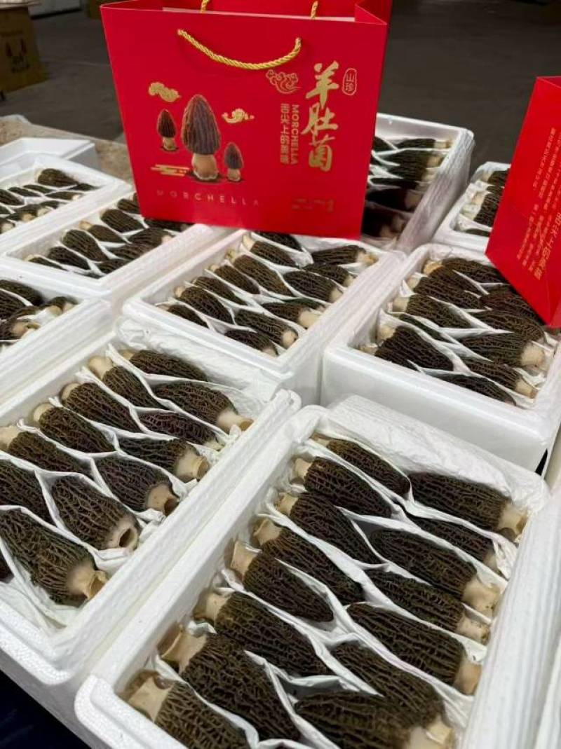 鲜品羊肚菌礼盒