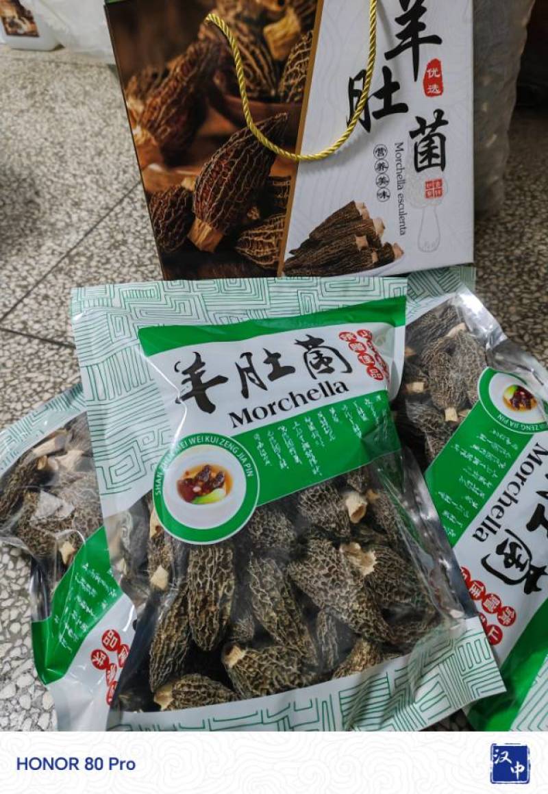 干品羊肚菌