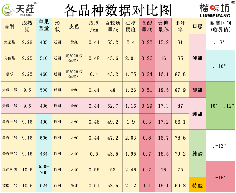 软籽石榴玛丽斯慕乐软籽石榴成年大树非突尼斯软籽石榴树苗