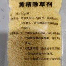 黄精，玉竹，魔芋精喹禾灵厂家量大优惠欢迎咨询