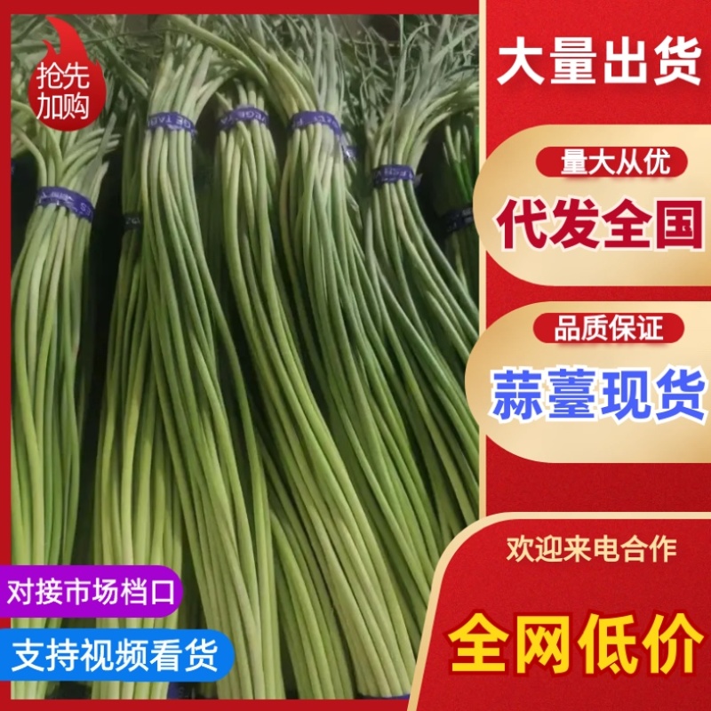 🔥🔥赶大集必用不要错过哦有需要你就来