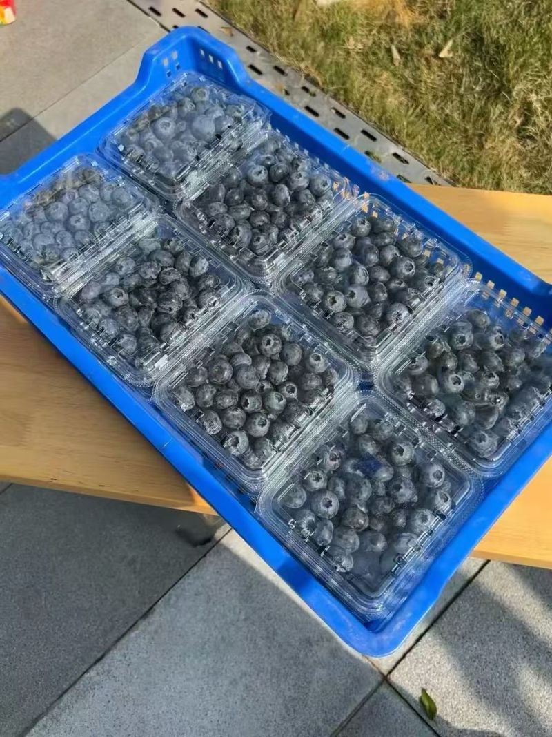 云南花香蓝莓，电商可一件代发。大量有货需要的可以聊聊