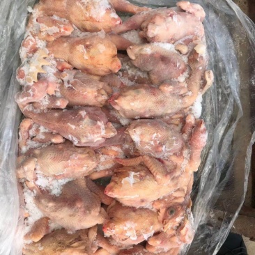 三级残鸡