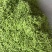 本地毛豆沈鲜大板毛豆大量上，产地发一手货源视频看货