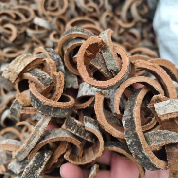 厚朴川朴制厚朴无硫熏紫油厚朴赤朴