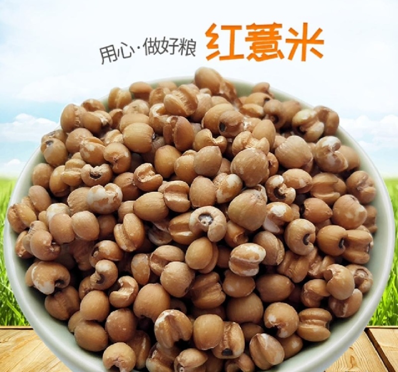 云南红薏仁米，产地直发货源充足稳定，欢迎各地老板来电看货