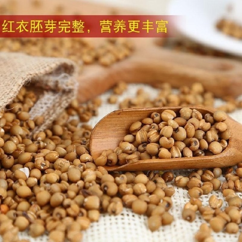 云南红薏仁米，产地直发货源充足稳定，欢迎各地老板来电看货