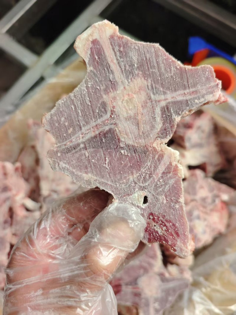 内蒙满肉羊蝎子山东腾惠将成为更多客户的选择
