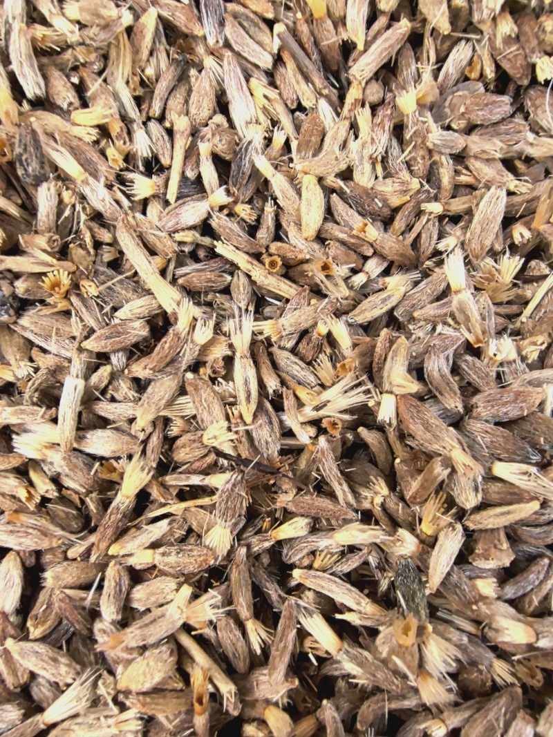 白术种子，干净于杂质