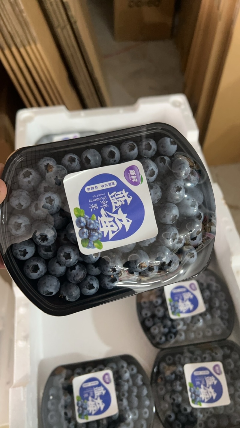 蓝莓L25、F6