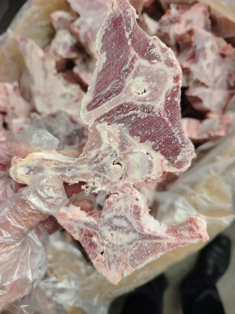内蒙满肉羊蝎子