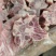 内蒙满肉羊蝎子