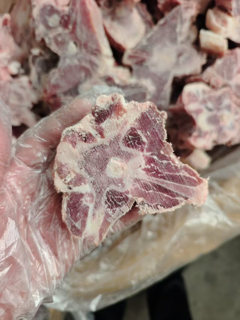 内蒙满肉羊蝎子