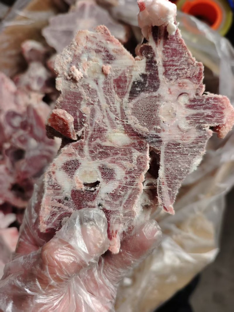 内蒙满肉羊蝎子