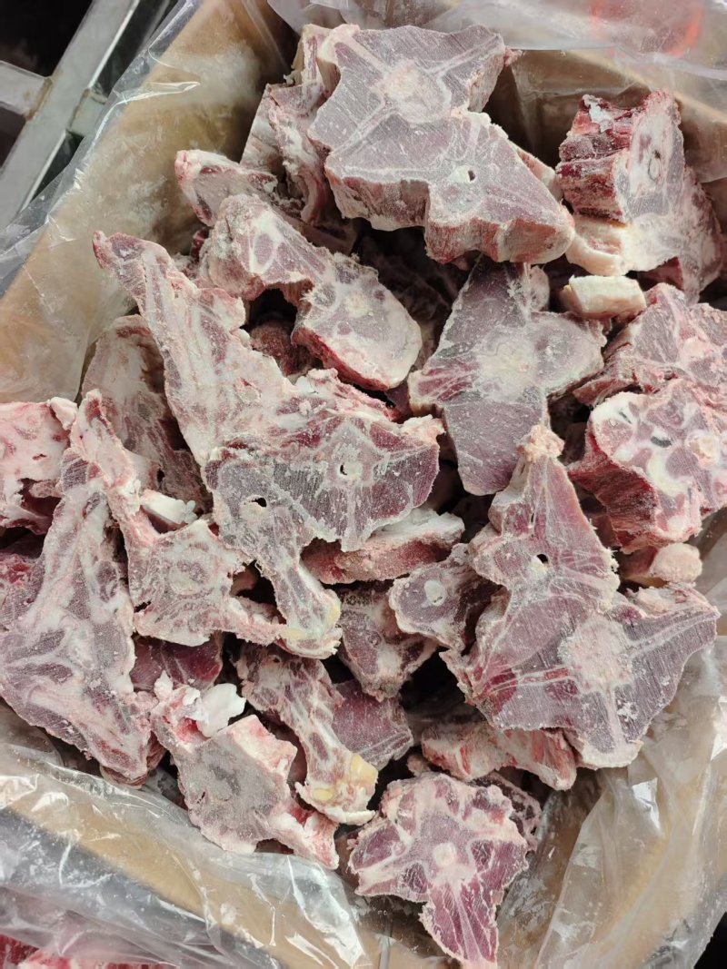内蒙满肉羊蝎子
