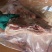 精品带皮五花肉，也叫三角五花肉，肥瘦层次分明，价格实惠