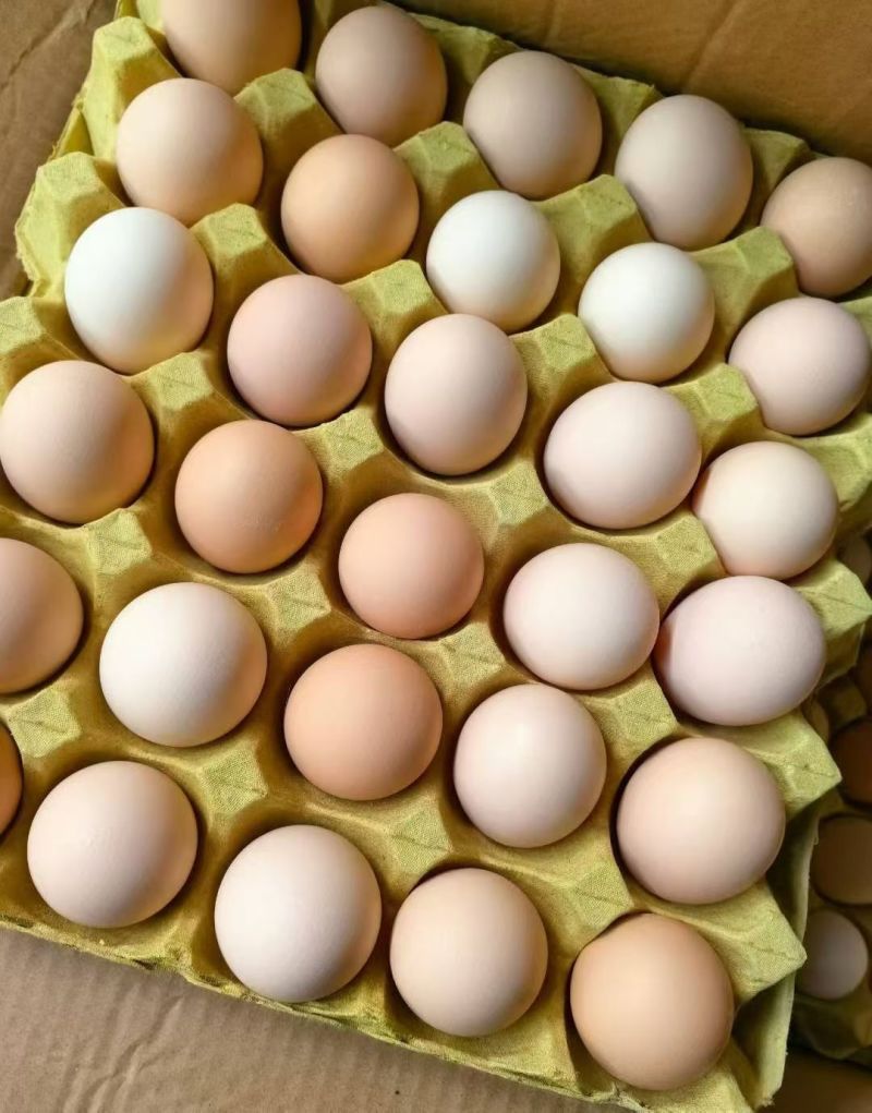 精品粉蛋