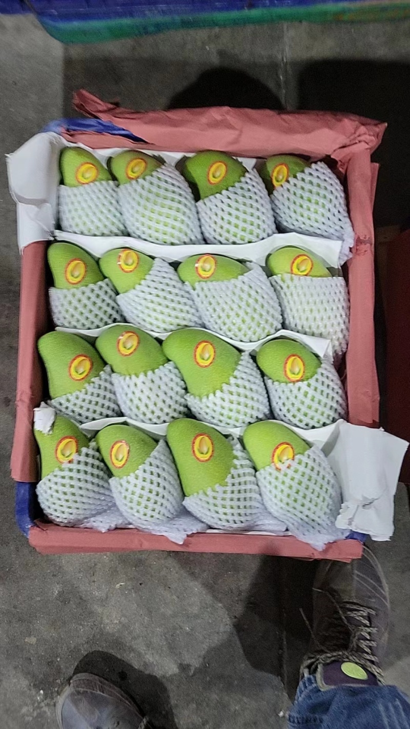 热带水果，海南芒果：贵妃芒：红金龙，