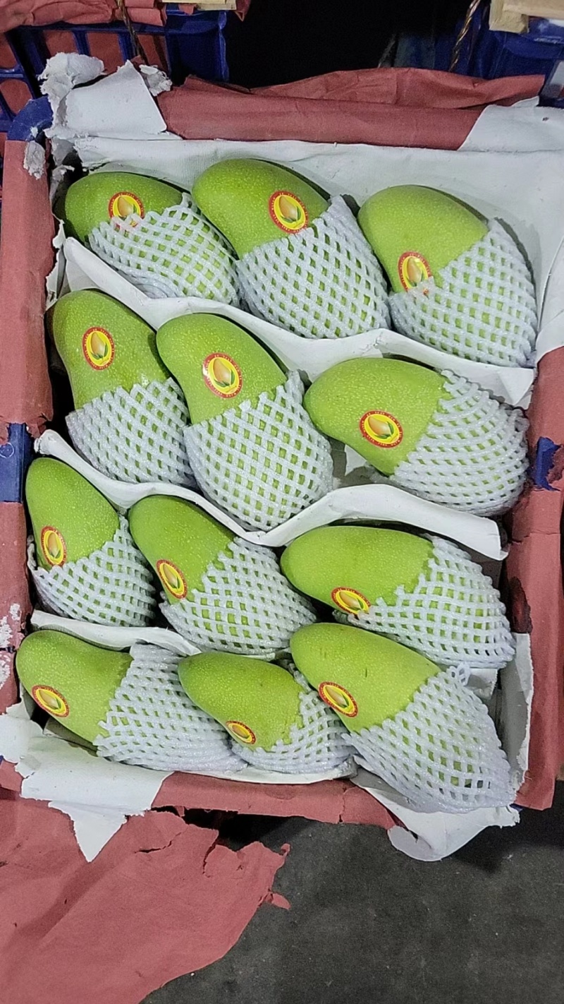 热带水果，海南芒果：贵妃芒：红金龙，