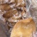 酱香猪耳片