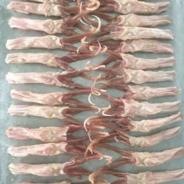 鸭舌