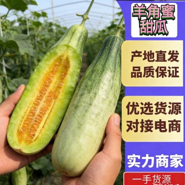 山东羊角蜜一件代发电商供应链，对接各个平台