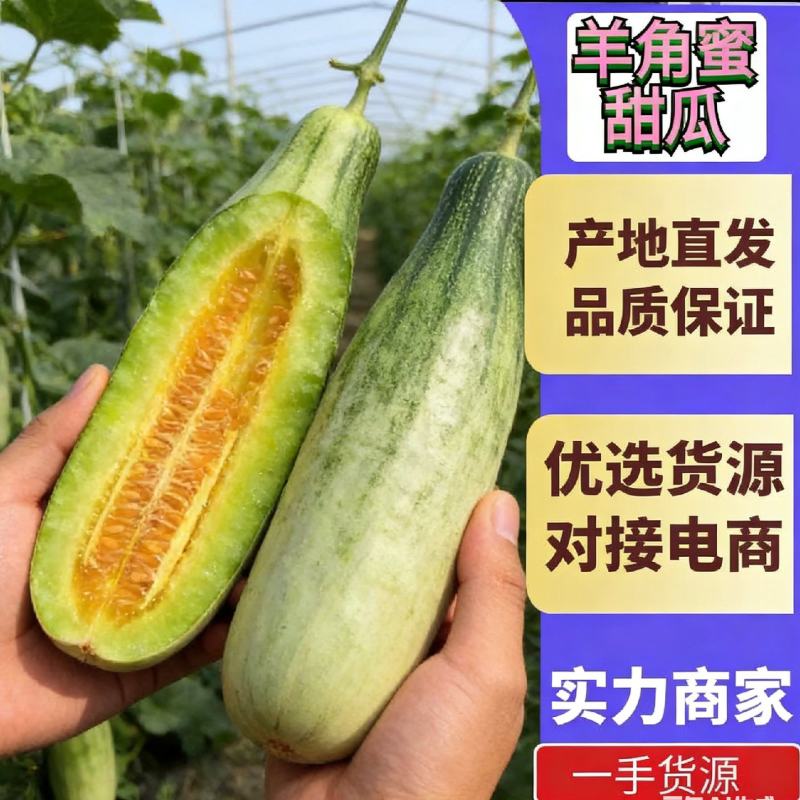 山东羊角蜜一件代发电商供应链，对接各个平台