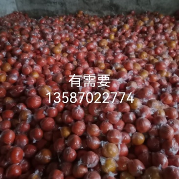 胡柚没有会员