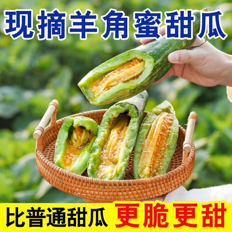 山东羊角蜜一件代发电商供应链，对接各个平台