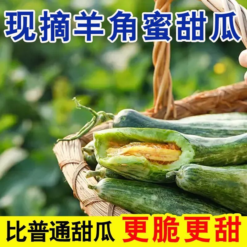山东羊角蜜一件代发电商供应链，对接各个平台