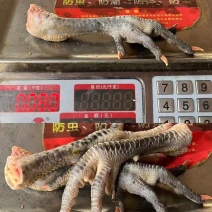 出售黑腿凤爪