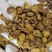 延胡索正宗浙江干货各种规格2斤包邮量大从优