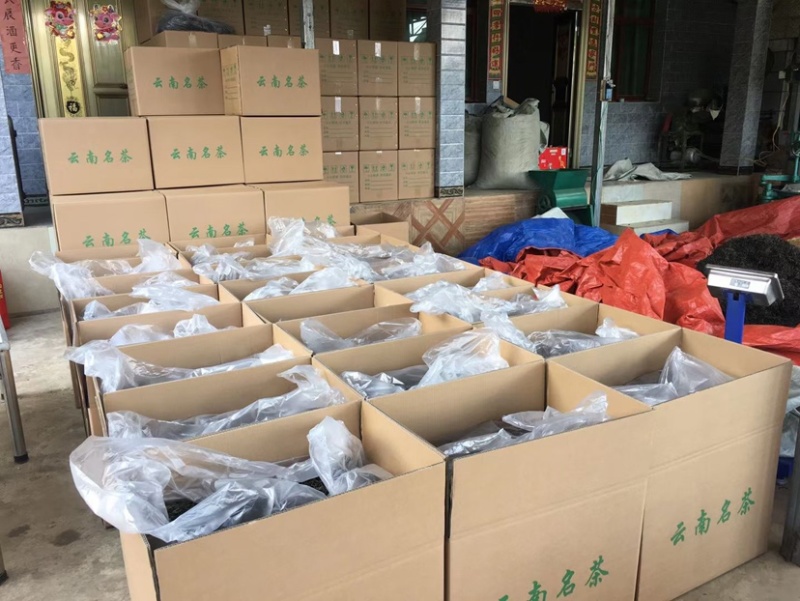临沧普洱茶古树双江冰岛生普野生红批发茶农直销白莺山多品种
