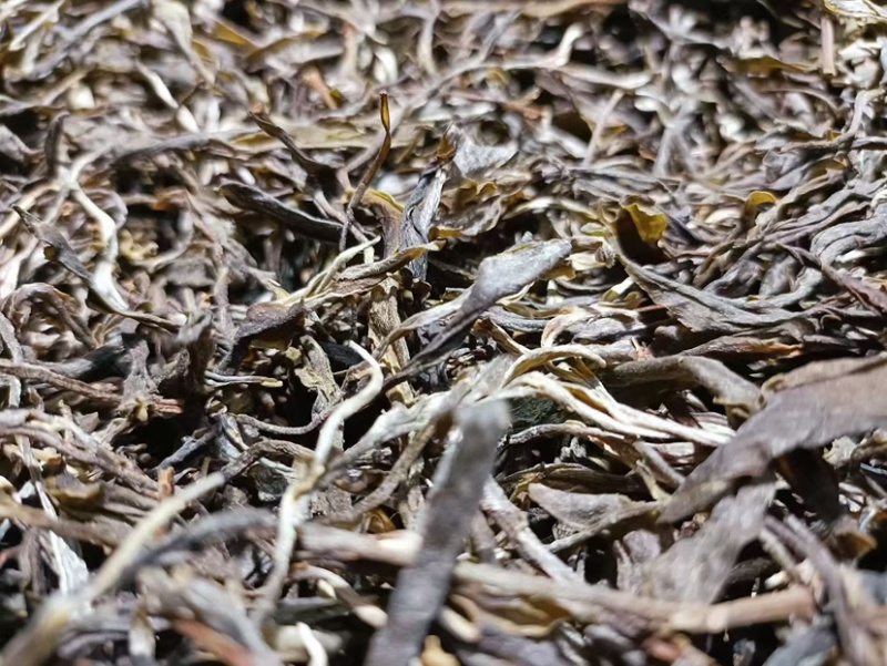 临沧普洱茶古树双江冰岛生普野生红批发茶农直销白莺山多品种