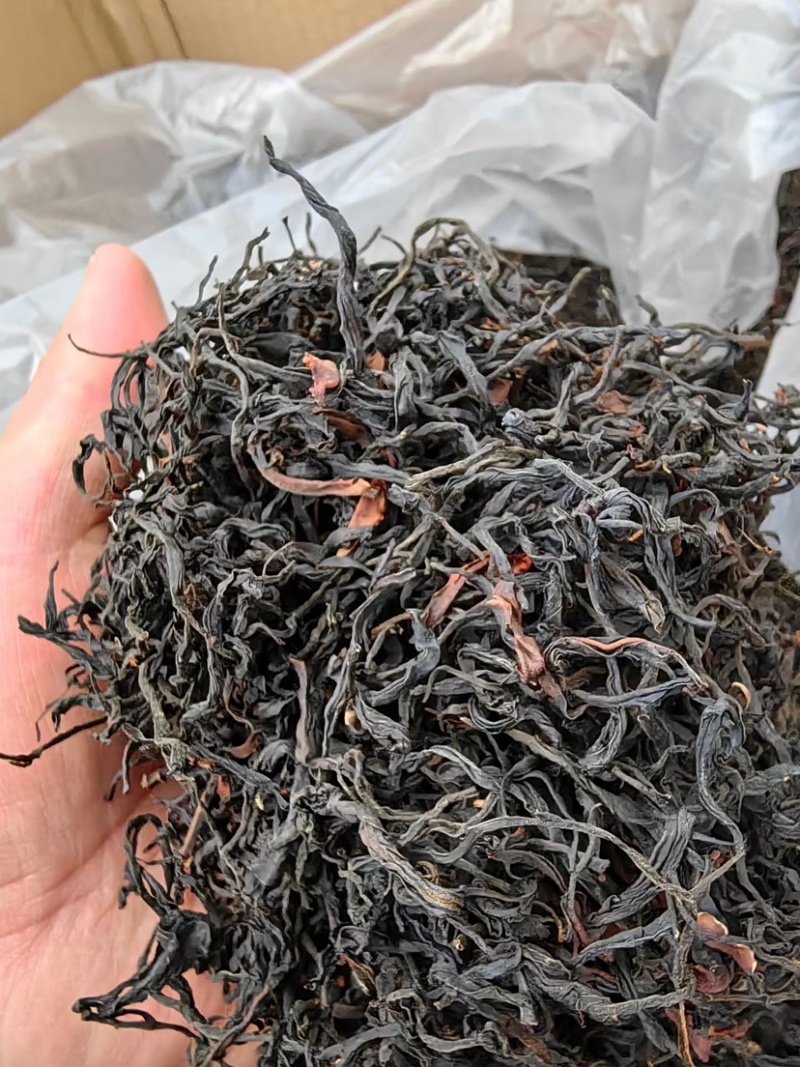 临沧普洱茶古树双江冰岛生普野生红批发茶农直销白莺山多品种