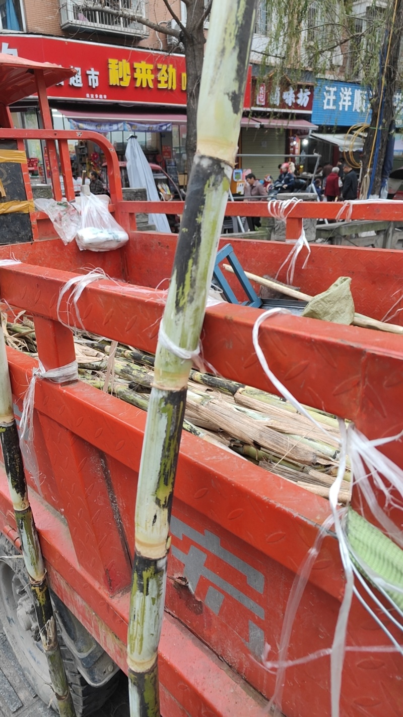 甘蔗应中东战争爆发导致叙利客户送不到有没需要老板拿去发财