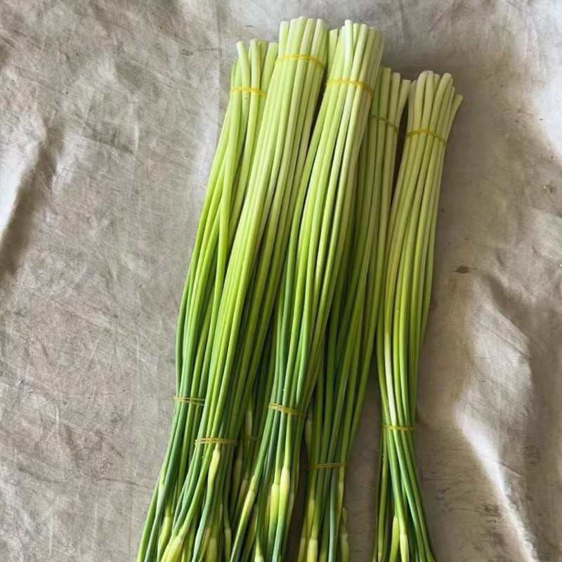 精品蒜苔，白帽蒜苔，产地一条龙，量大从优