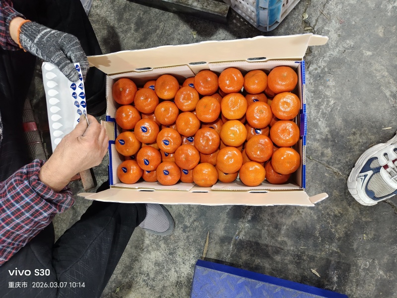 重庆默科特产地大量供应，对接市场，出口