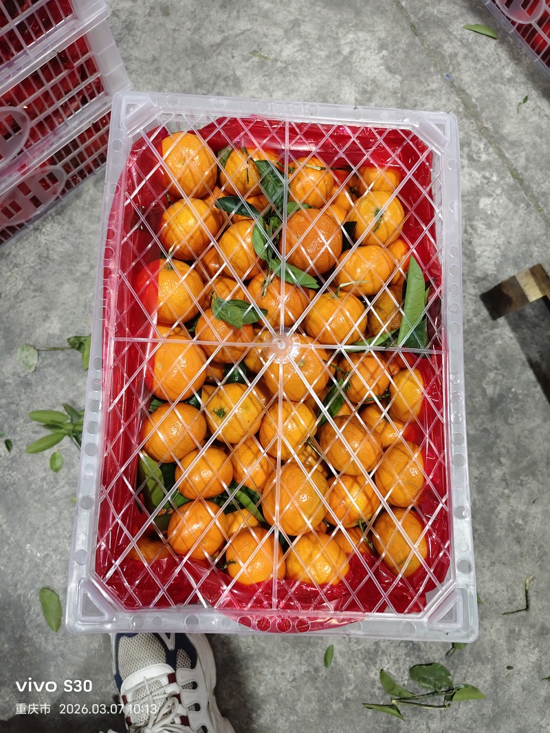 重庆默科特产地大量供应，对接市场，出口